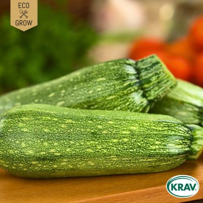 Squash, Genovese, Ekologisk