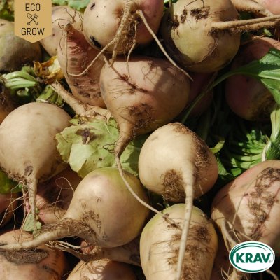 Kålrot Wilhelmsburger, Ekologisk