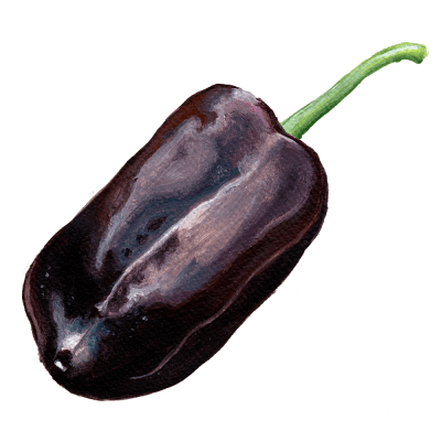 Paprika Sweet Chocolate