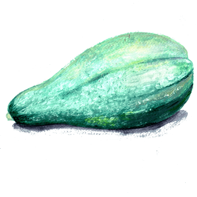 Squash, Vinter-, Blue Banana