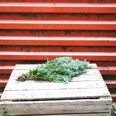 Enebär Bunt 100-150gr