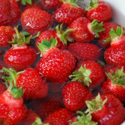 Fragaria ananassa Ostara, Jordgubbe, C11cm