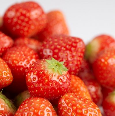 Fragaria x ananassa Elsanta, Jordgubbe, P9cm