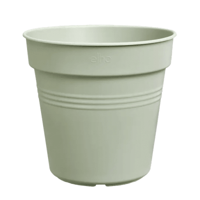 Kruka Green Basics Ljusgrön