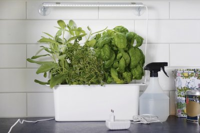 Hydroponisk odling Harvy Startkit Vit Liten