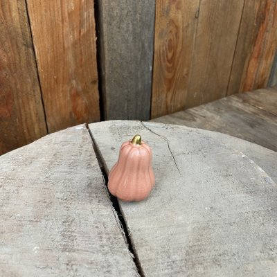 Pumpa Fenja Rosa Liten Mix