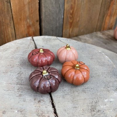 Pumpa Fenja Orange Liten Mix