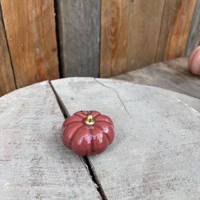 Pumpa Fenja Plommon Liten Mix