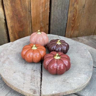 Pumpa Fenja Mörklila Mellan Mix
