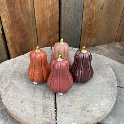 Pumpa Fenja Plommon Liten Mix