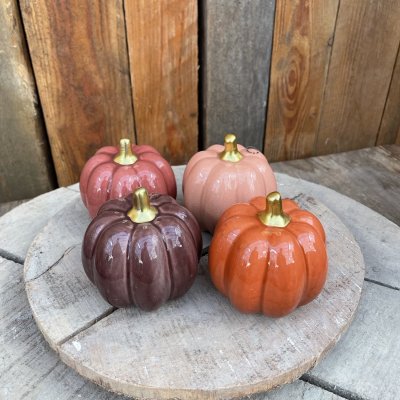 Pumpa Fenja Mörklila Stor Mix