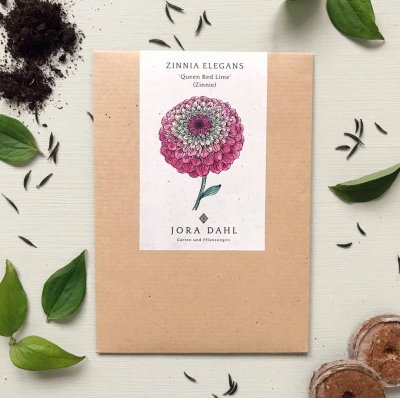 Zinnia, Queen Red Lime