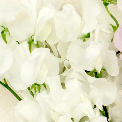 Luktärt Spring Sunshine Cream