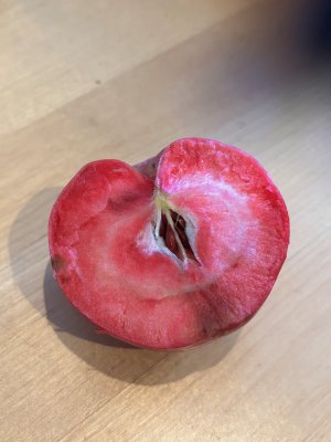 Malus domestica Veiniöun, Höstäpple