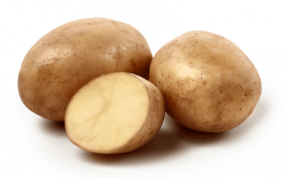 Sättpotatis Minerva 1kg