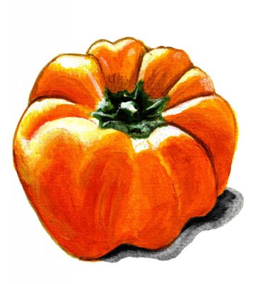 Paprika Cubo Orange