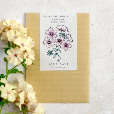 Flox, Sommar-, Crème Brûlée