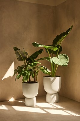 Amber Coupe Linen White