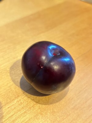Prunus salicina Black Sun, Svartplommon