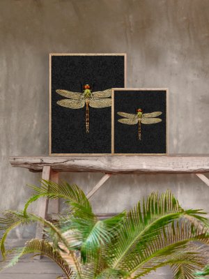 Poster Dragonfly Black 30x40cm