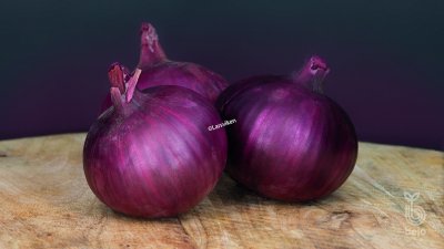 Sättlök Röd Redlander Ekologisk 250g