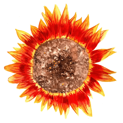 Solros Ring of Fire