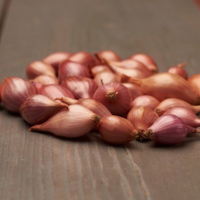 Sättlök Rosa Rosanna 250g
