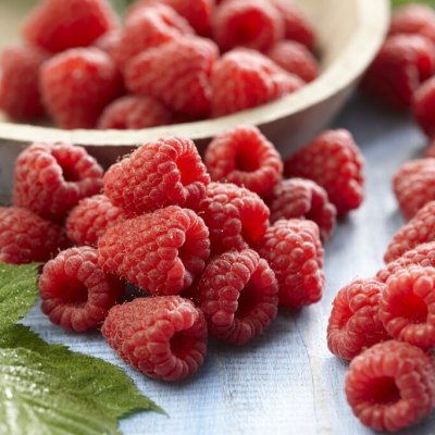 Rubus idaeus Tulameen