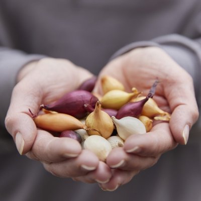 Sättlök Mix 250g
