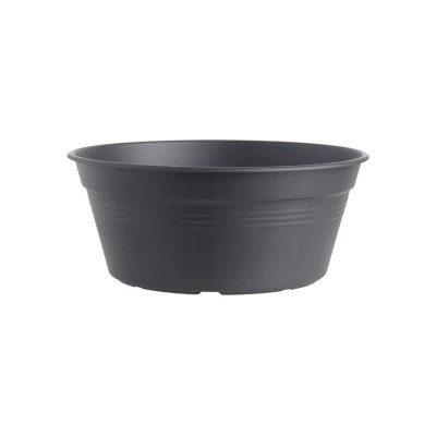 Skål Green Basics Svart