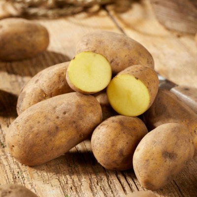 Sättpotatis Alexandra 1kg