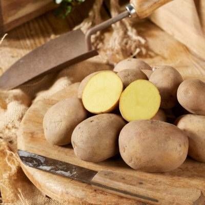 Sättpotatis Almonda 1kg Ekologisk Årets Potatis 2021!