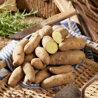 Sättpotatis Sparris 1kg