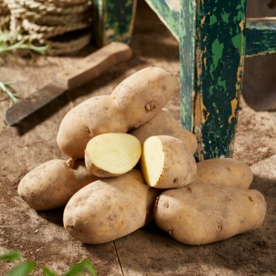 Sättpotatis Bintje 1kg