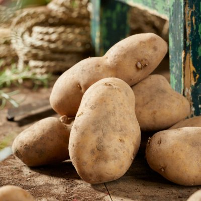 Sättpotatis Bintje 1kg