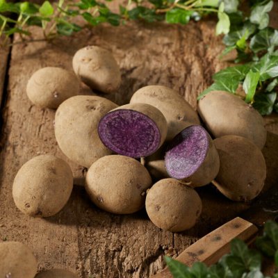 Sättpotatis Blaue Annelise 1kg Ekologisk