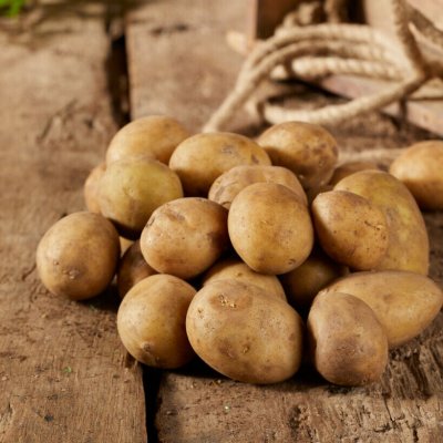 Sättpotatis Carrera 1kg