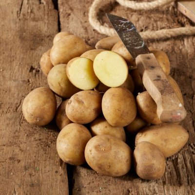Sättpotatis Carrera 1kg