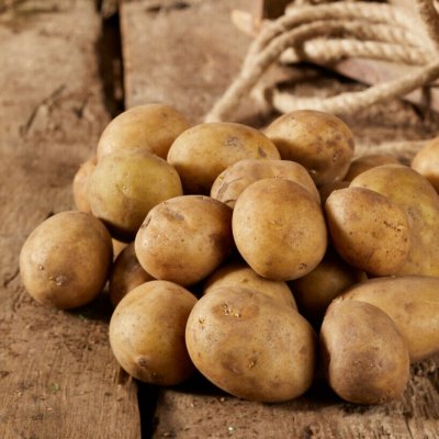 Sättpotatis Carrera 1kg