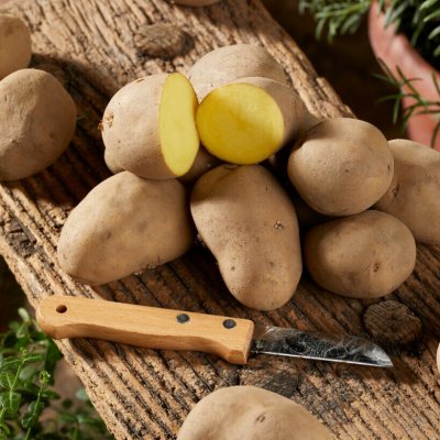 Sättpotatis Charlotte 1kg Ekologisk