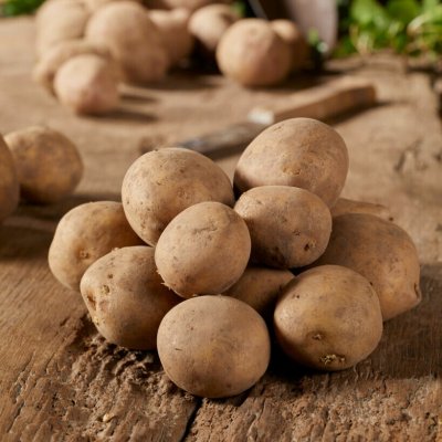 Sättpotatis Connect 1kg - Årets Potatis 2020!
