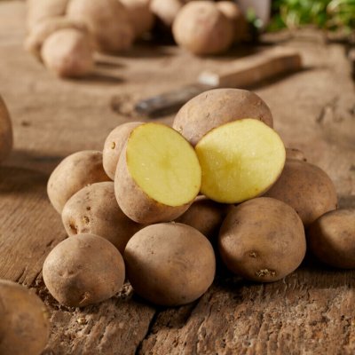 Sättpotatis Connect 1kg - Årets Potatis 2020!
