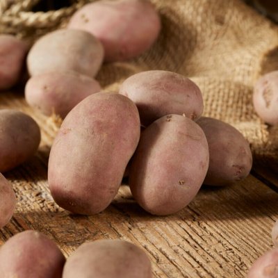Sättpotatis Corazon 1kg