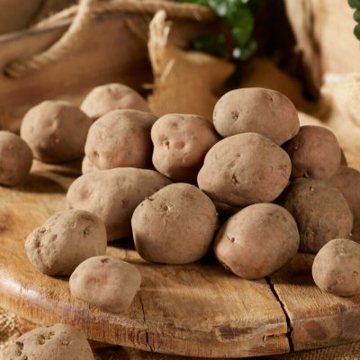 Sättpotatis Early Rose 1kg