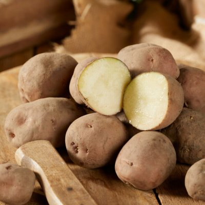 Sättpotatis Early Rose 1kg