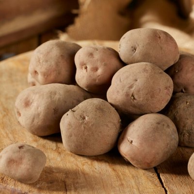 Sättpotatis Early Rose 1kg