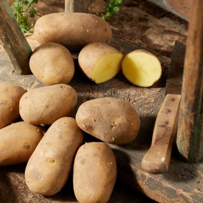 Sättpotatis Gwenne 1kg
