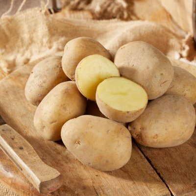 Sättpotatis Kingsman 1kg Ekologisk