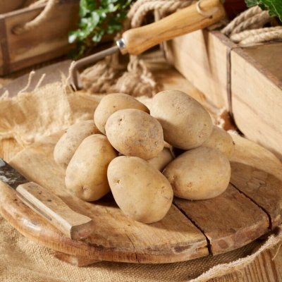 Sättpotatis Kingsman 1kg Ekologisk