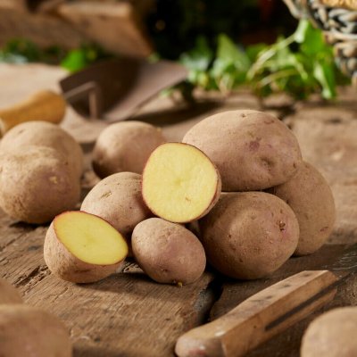 Sättpotatis Labella 1kg